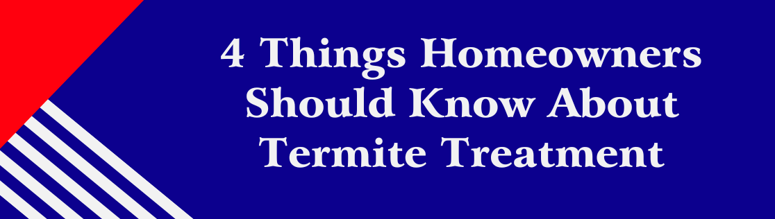 4 Things Homeowners Should Know About Termite Treatment in Knoxville, TN