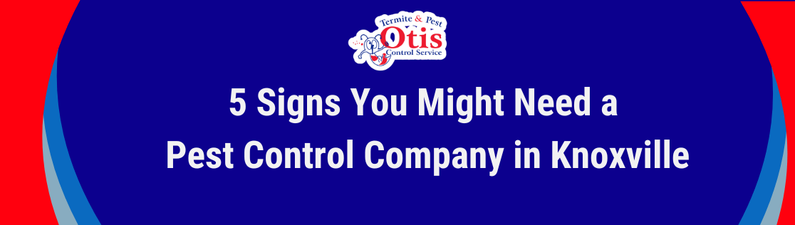 Signs You Might Need a Pest Control Company in Knoxville (Before It Is Too Late)