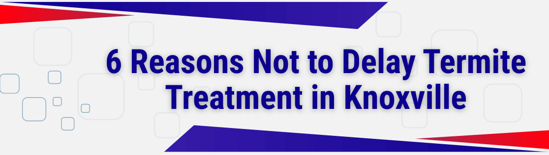6 Reasons Not to Delay Termite Treatment in Knoxville