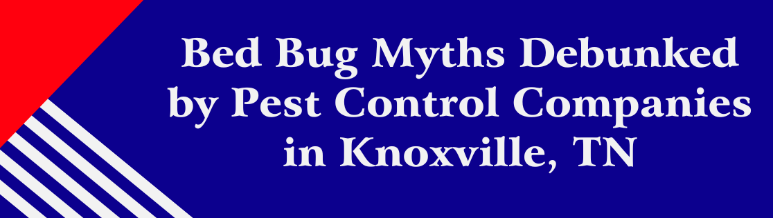 Bed Bug Myths Debunked by Pest Control Companies in Knoxville, TN