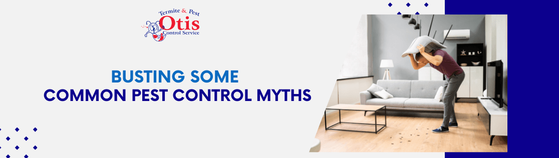 Busting Some Common Pest Control Myths
