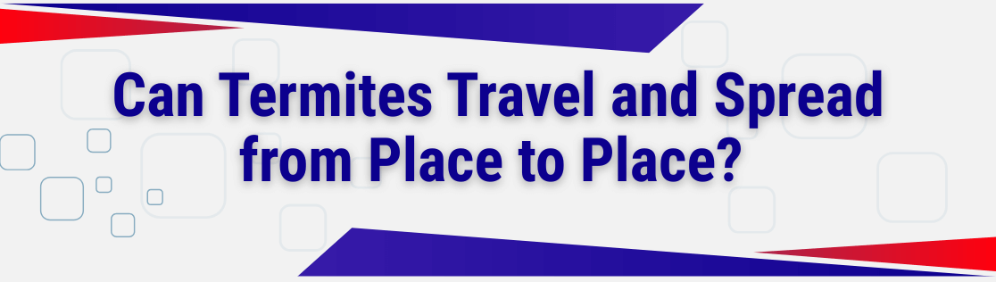 Can Termites Travel and Spread from Place to Place? What Knoxville Homeowners Need to Know