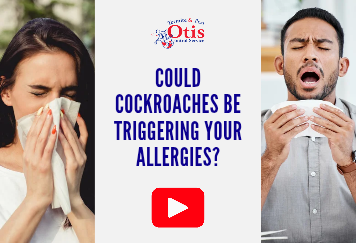 Could Cockroaches Be Triggering Your Allergies?