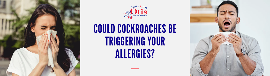 Could Cockroaches Be Triggering Your Allergies?