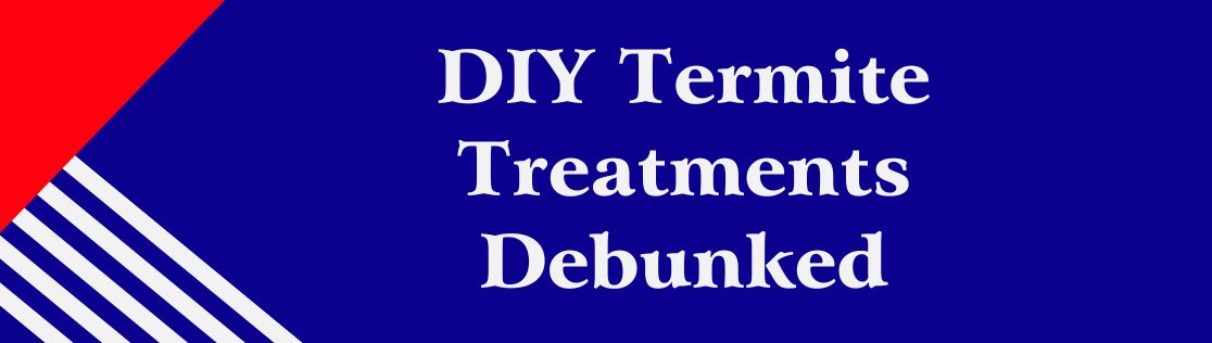 DIY Termite Treatments Debunked