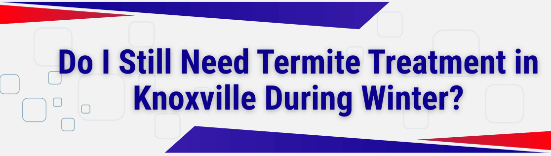 Do I Still Need Termite Treatment in Knoxville During Winter?