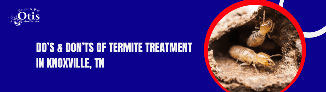 Do’s & Don’ts of Termite Treatment in Knoxville, TN