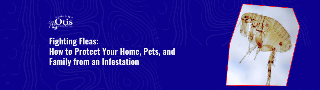 Fighting Fleas: How to Protect Your Home, Pets, and Family from an Infestation