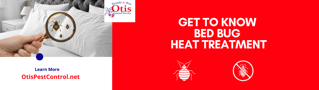 Get to Know Bed Bug Heat Treatment