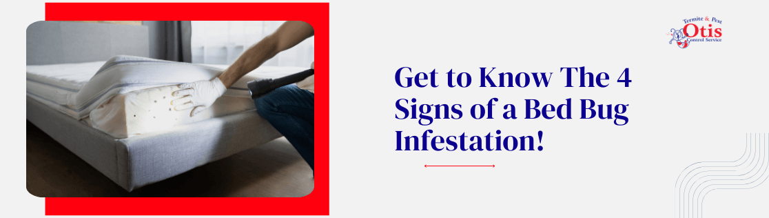 Get to Know The 4 Signs of a Bed Bug Infestation!