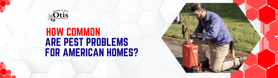 How Common Are Pest Problems For American Homes?