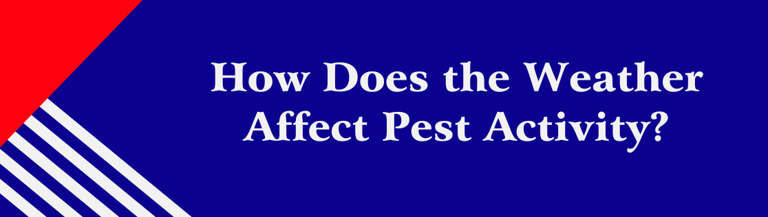 How Does the Weather Affect Pest Activity?