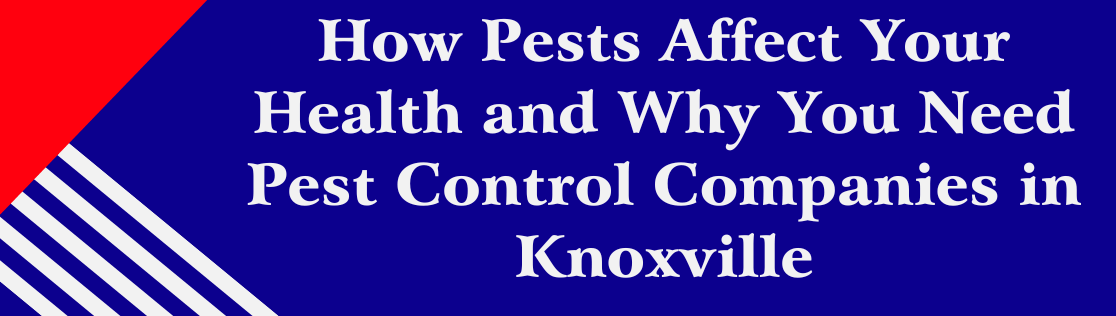 How Pests Affect Your Health and Why You Need Pest Control Companies in Knoxville, TN