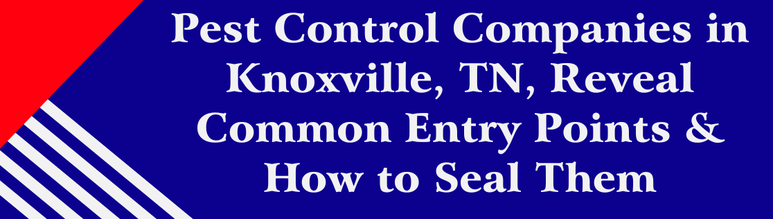 Pest Control Companies in Knoxville, TN, Reveal Common Entry Points & How to Seal Them