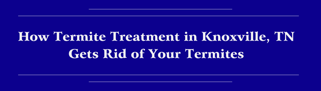 How Termite Treatment in Knoxville, TN Gets Rid of Your Termites