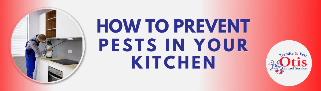 How to Prevent Pests in Your Kitchen
