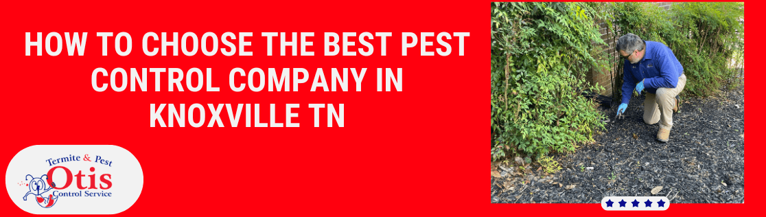 Choosing a Pest Control Company in Knoxville, TN