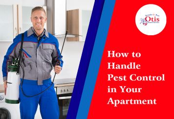 How to Handle Pest Control in Your Apartment