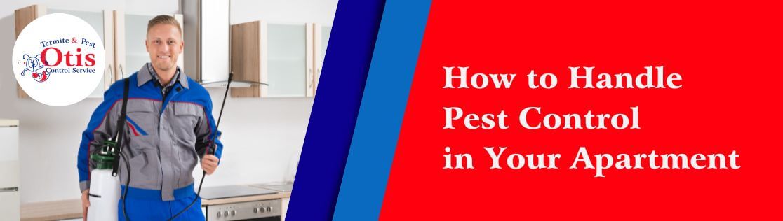 How to Handle Pest Control in Your Apartment