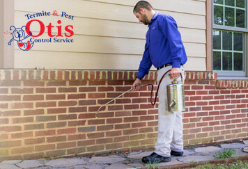 Importance of TermiteTreatment Knoxville