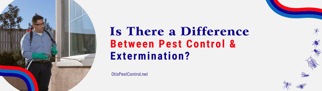 Is There a Difference Between Pest Control & Extermination?