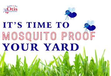 It’s Time to Mosquito Proof Your Yard!