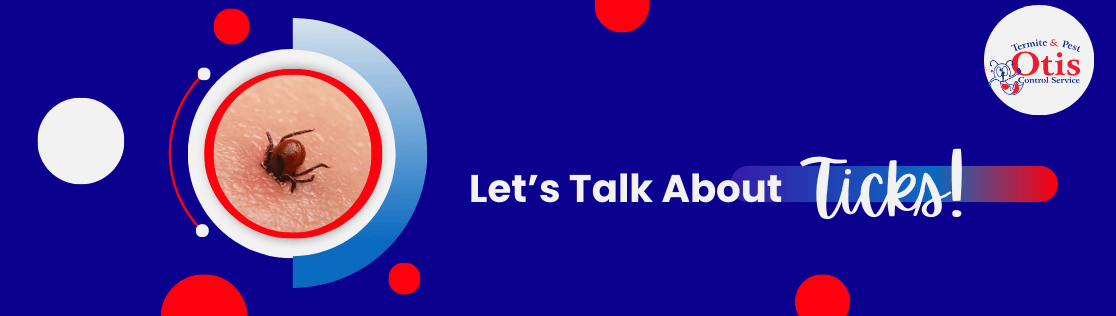 Let’s Talk About Ticks