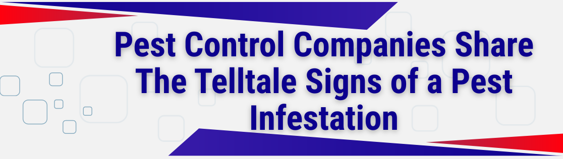 Pest Control Companies Share The Telltale Signs of a Pest Infestation