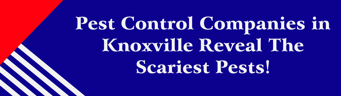 Pest Control Companies in Knoxville Reveal The Scariest Pests!