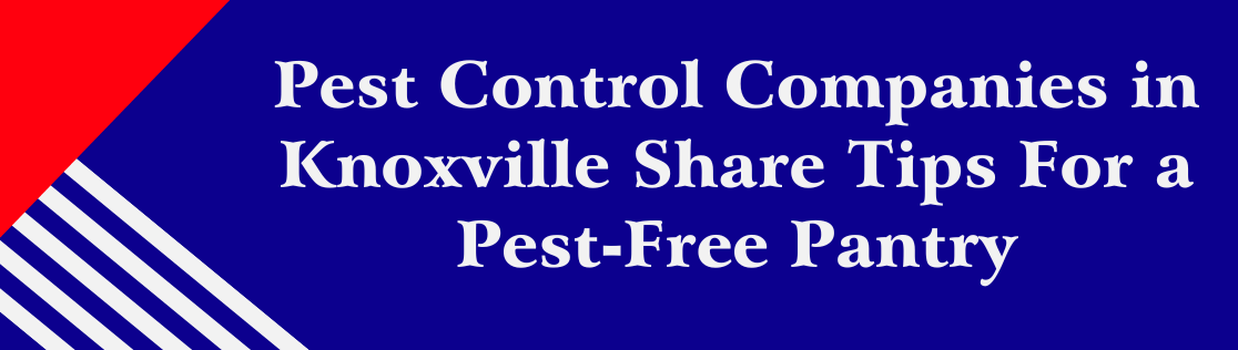 Pest Control Companies in Knoxville, TN, Share Tips For a Pest-Free Pantry