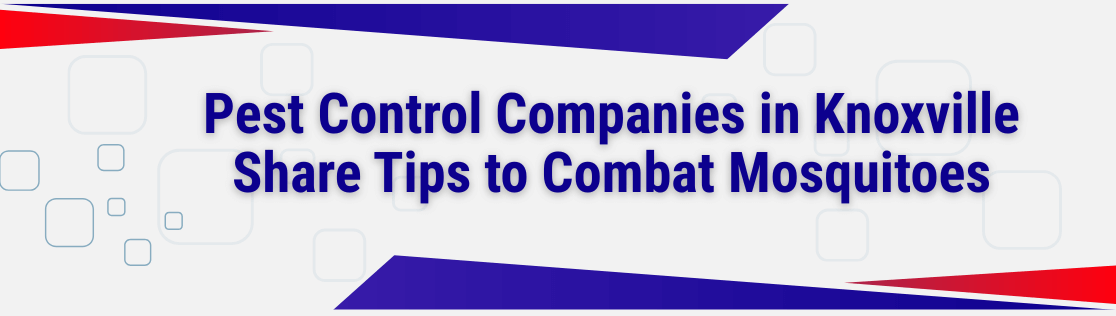 Pest Control Companies in Knoxville Share Tips to Combat Mosquitoes