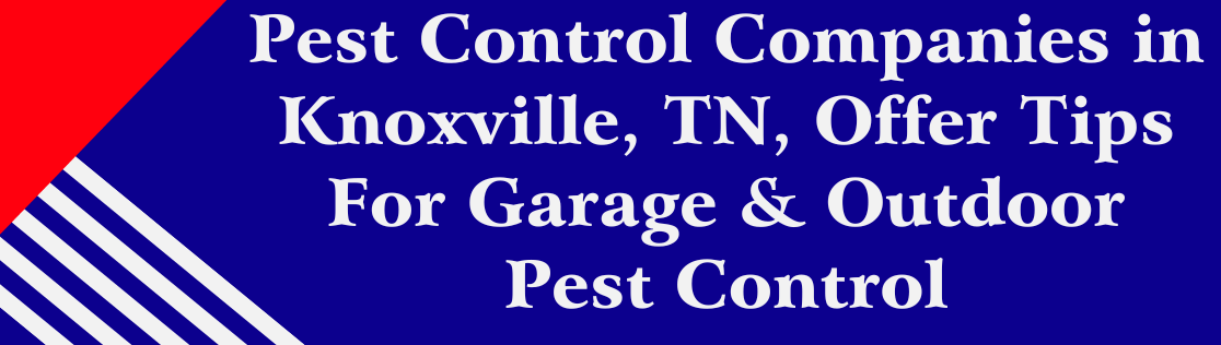 Pest Control Companies in Knoxville, TN, Offer Tips For Garage & Outdoor Pest Control