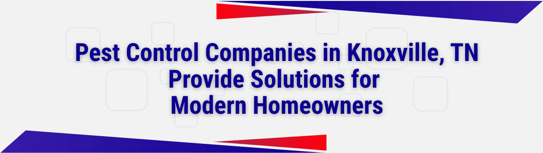 Pest Control Companies in Knoxville, TN, Provide Solutions for Modern Homeowners