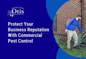 How Commercial Pest Control Benefits Your Business