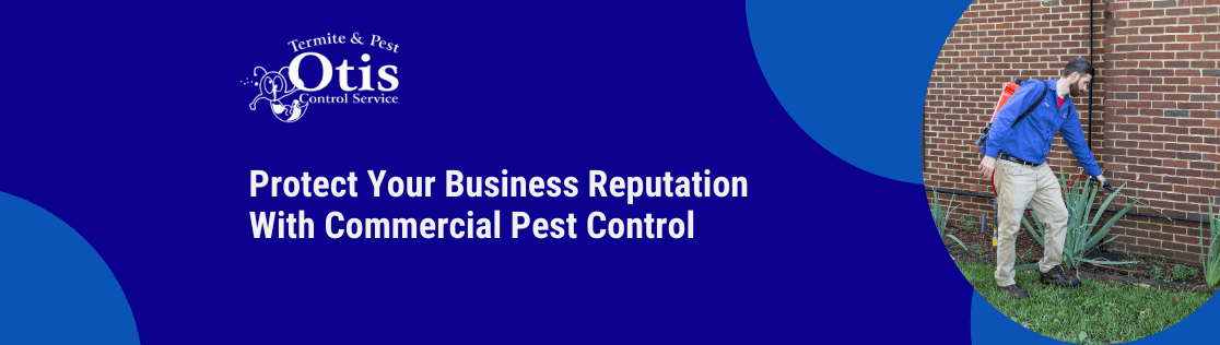 Protect Your Business Reputation With Commercial Pest Control