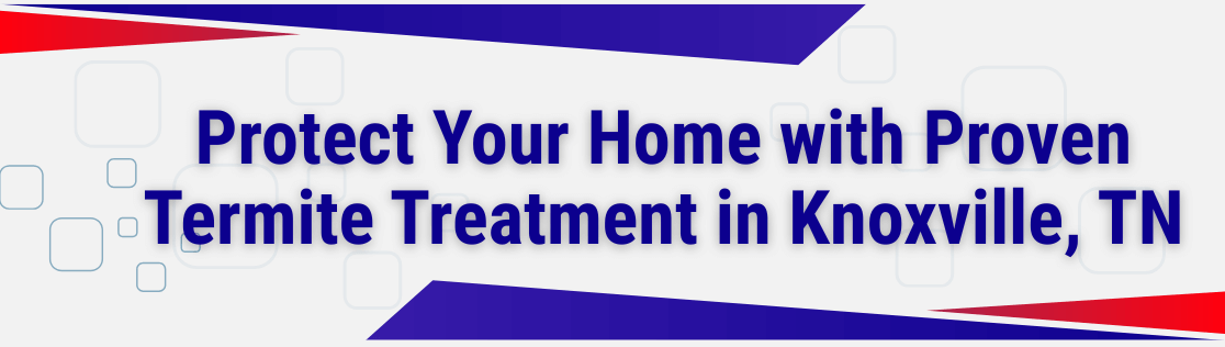 Protect Your Home with Proven Termite Treatment in Knoxville, TN