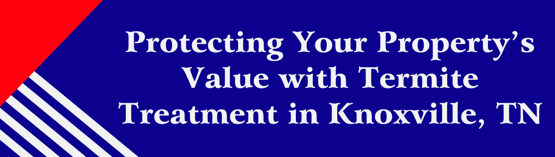 Protecting Your Property’s Value with Termite Treatment in Knoxville, TN
