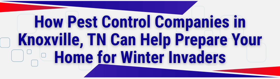 How Pest Control Companies in Knoxville, TN Can Help Prepare Your Home for Winter Invaders