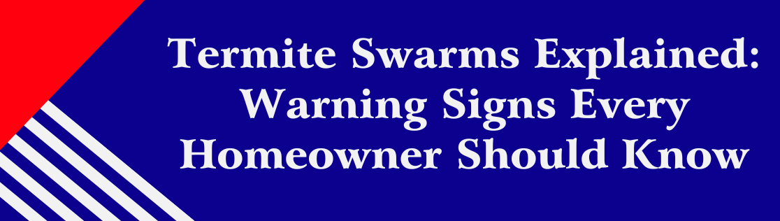 Termite Swarms Explained: Warning Signs Every Homeowner Should Know