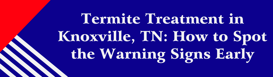 Termite Treatment in Knoxville, TN: How to Spot the Warning Signs Early