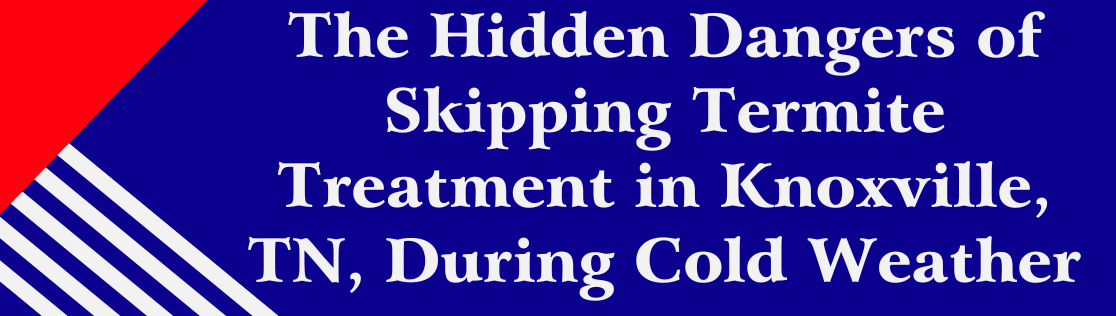 The Hidden Dangers of Skipping Termite Treatment in Knoxville, TN, During Cold Weather