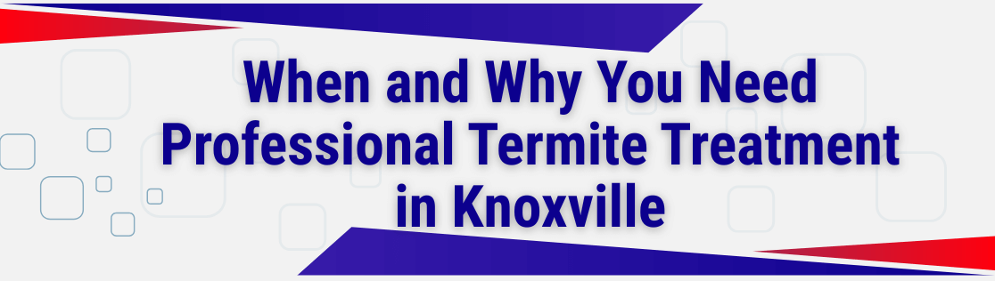 When and Why You Need Professional Termite Treatment in Knoxville