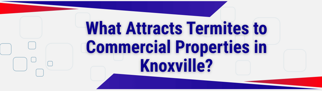 Pest Control Companies in Knoxville Reveal the Most Common Pests in Hotels