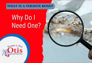 What Is a Termite Bond & Why Do I Need One?