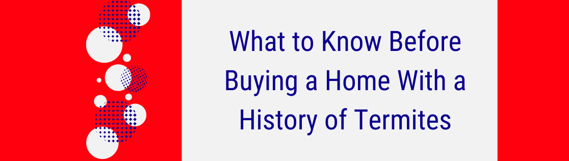 Termite Treatment in Knoxville: What to Know Before Buying a Home With a History of Termites