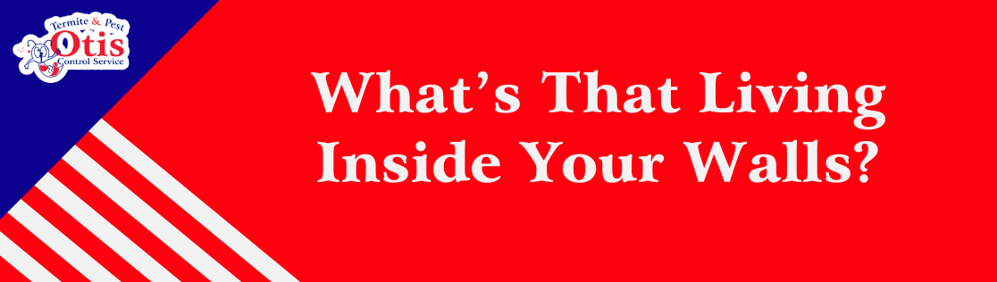 Choosing a Pest Control Company in Knoxville, TN