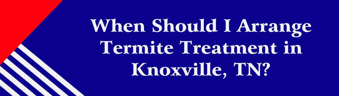 When Should I Arrange Termite Treatment in Knoxville, TN?