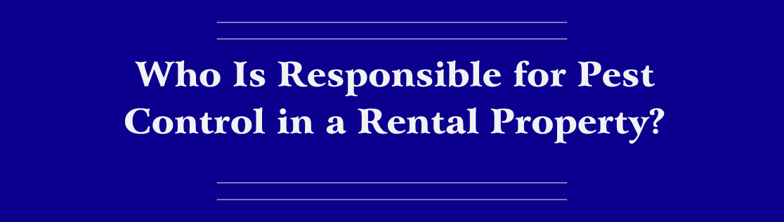 Pest Control Companies in Knoxville Explain: Who Is Responsible for Pest Control in a Rental Property?