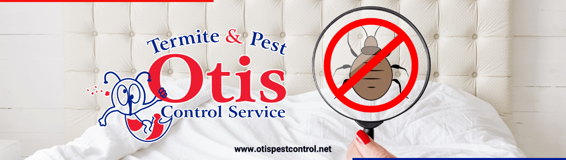 Why Are Pest Inspections Important?