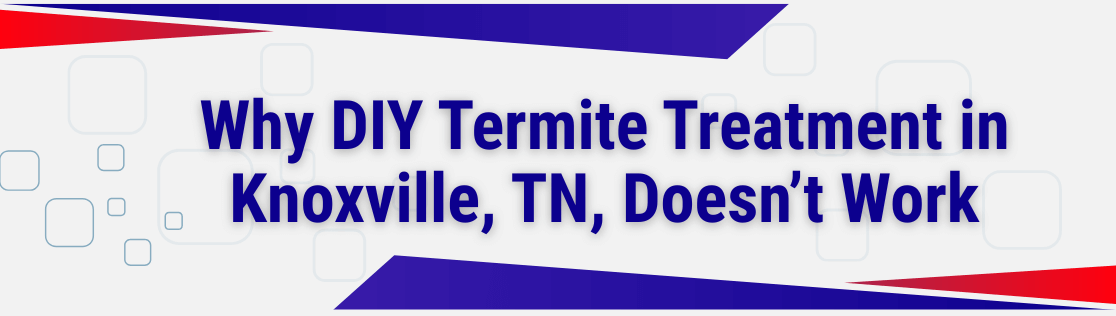 Why DIY Termite Treatment in Knoxville, TN, Doesn’t Work